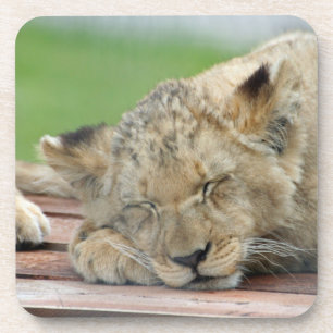 Lion 014 getränkeuntersetzer