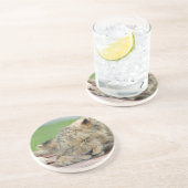 Lion 014 getränkeuntersetzer (Seite)