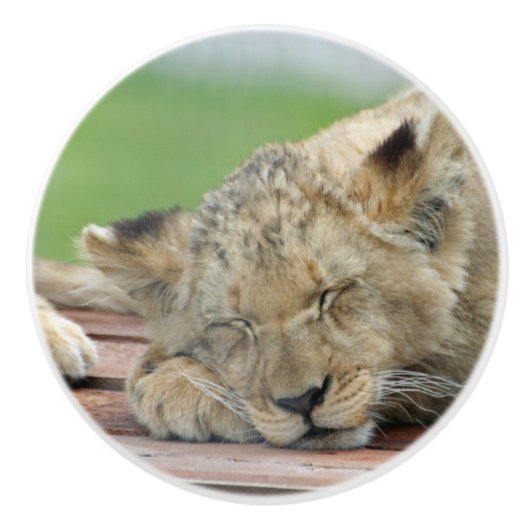 Lion 014 keramikknauf (Vorderseite)