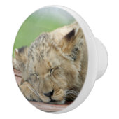 Lion 014 keramikknauf (Rechts)