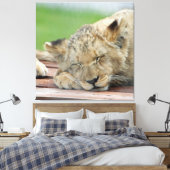 Lion 014 leinwanddruck (Insitu (Schlafzimmer))
