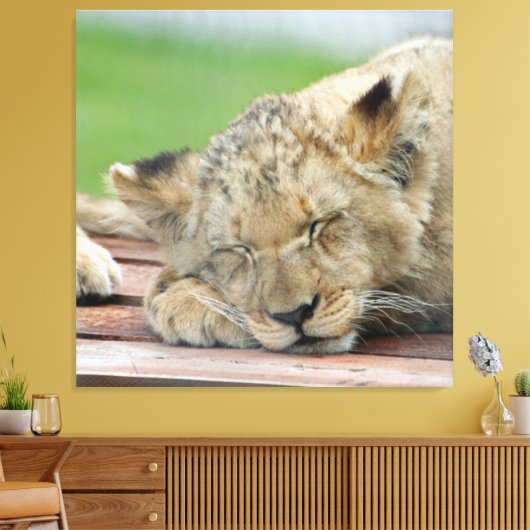 Lion 014 leinwanddruck (Insitu (Wohnzimmer))