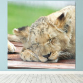 Lion 014 leinwanddruck (Insitu (Holzboden))