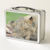 Lion 014 metall brotdose (Rückseite)