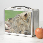 Lion 014 metall brotdose (Beispiel)