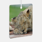 Lion 014 ornament aus metall (Vorderseite Rechts)