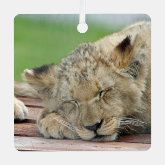 Lion 014 ornament aus metall (Vorderseite)