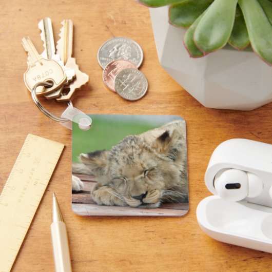 Lion 014 schlüsselanhänger (Schreibtisch)