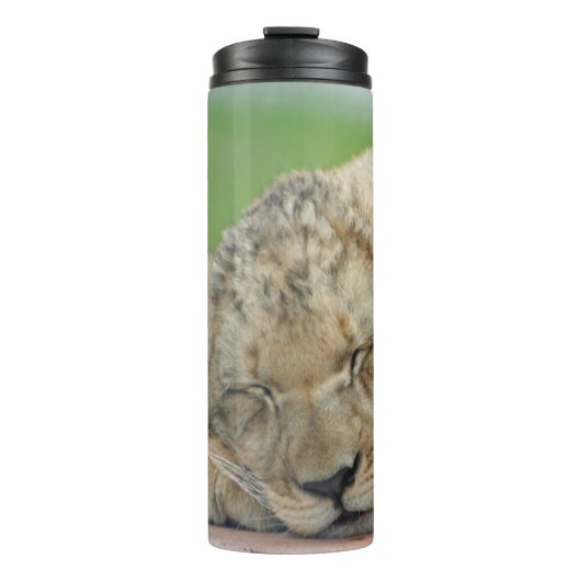 Lion 014 thermosbecher (Vorderseite)
