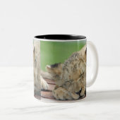 Lion 014 zweifarbige tasse (VorderseiteRechts)