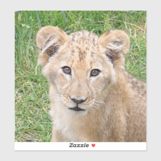 Lion 016 aufkleber (Blatt)