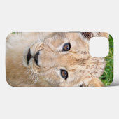 Lion 016 Case-Mate iPhone hülle (Rückseite (Horizontal))