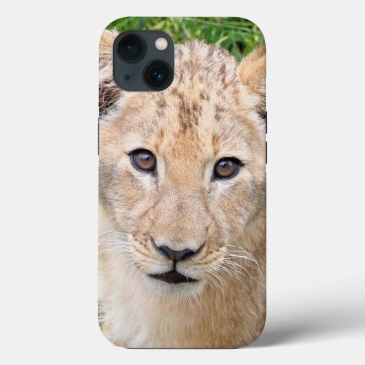 Lion 016 Case-Mate iPhone hülle (Rückseite)