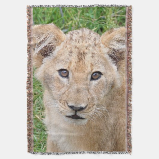 Lion 016 decke (Vorderseite Vertikal)