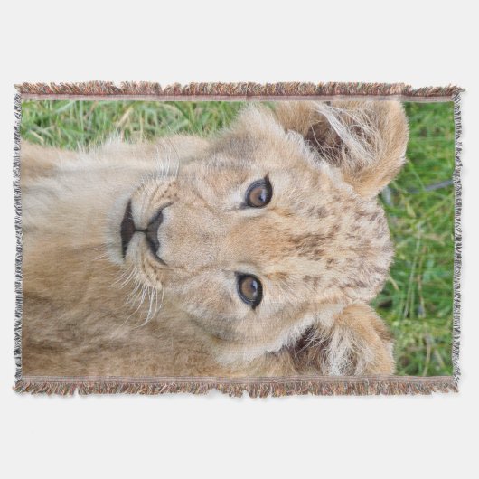 Lion 016 decke (Vorderseite)