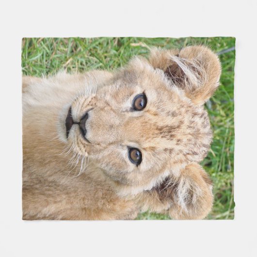 Lion 016 fleecedecke (Vorderseite (Horizontal))
