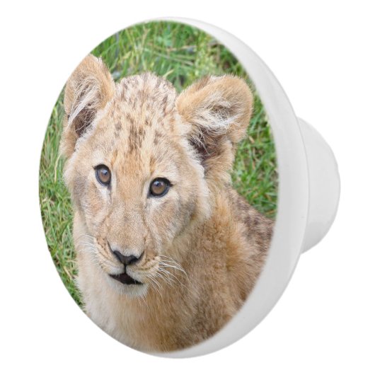 Lion 016 keramikknauf (Rechts)