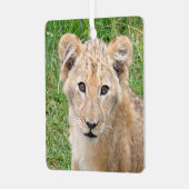 Lion 016 ornament aus metall (Vorderseite links)