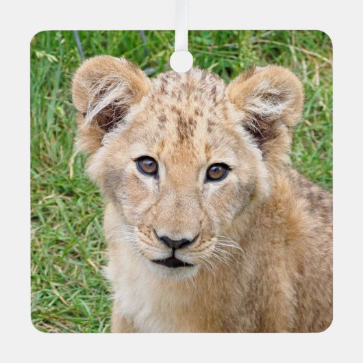 Lion 016 ornament aus metall (Vorderseite)