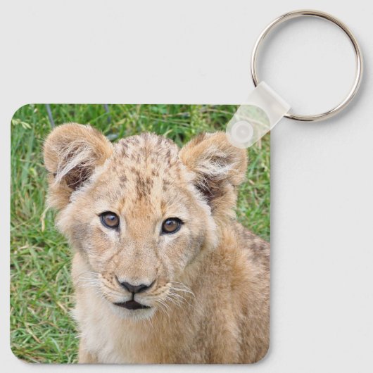 Lion 016 schlüsselanhänger (Rückseite)