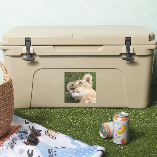 Lion 022 aufkleber (Kühler)