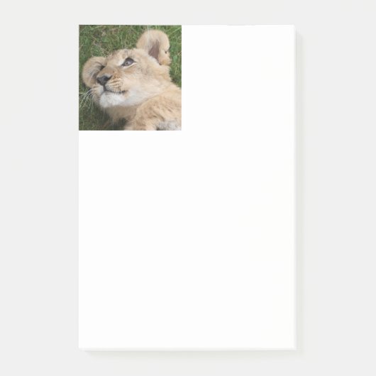 Lion 022 post-it klebezettel (Vorderseite)