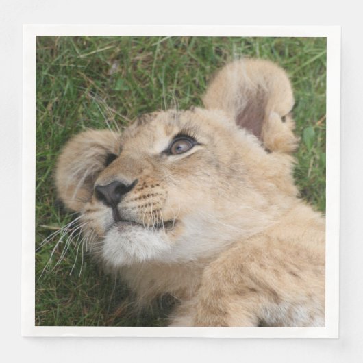 Lion 022 serviette (Vorderseite)