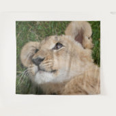 Lion 022 wandteppich (Vorderseite (Horizontal))