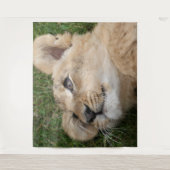 Lion 022 wandteppich (Vorderseite)