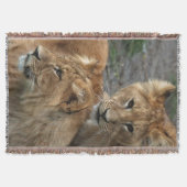 Lion 033 decke (Vorderseite)