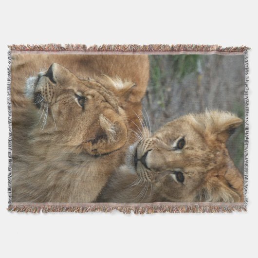 Lion 033 decke (Vorderseite)