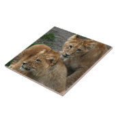 Lion 033 fliese (Seite)