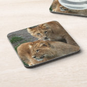 Lion 033 getränkeuntersetzer (Linke Seite)