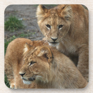 Lion 033 getränkeuntersetzer