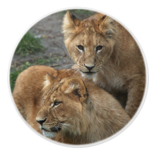 Lion 033 keramikknauf