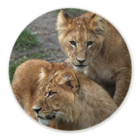 Lion 033 keramikknauf (Vorderseite)