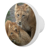 Lion 033 keramikknauf (Rechts)