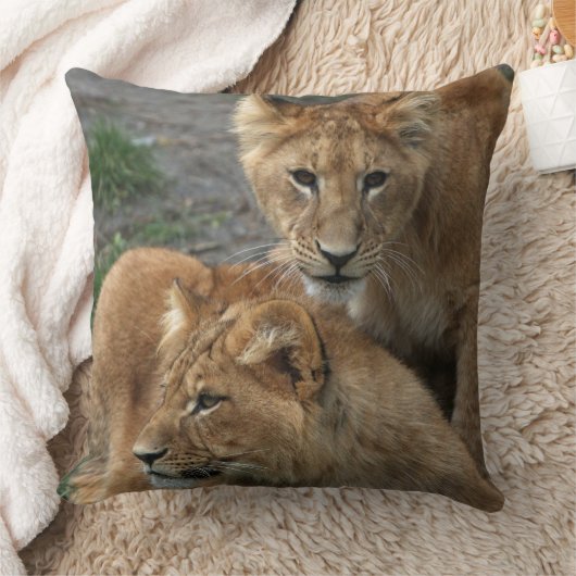 Lion 033 kissen (Decke)