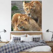 Lion 033 leinwanddruck (Insitu (Schlafzimmer))