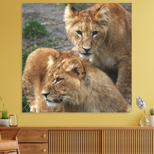 Lion 033 leinwanddruck (Insitu (Wohnzimmer))