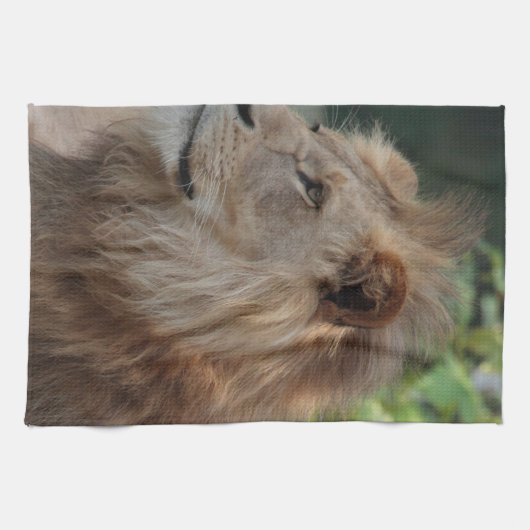 Lion 035 geschirrtuch (Horizontal)