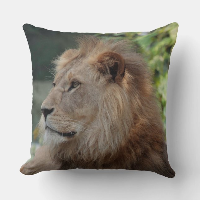 Lion 035 kissen (Vorderseite)