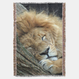 Lion 036 decke