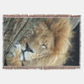 Lion 036 decke (Vorderseite)