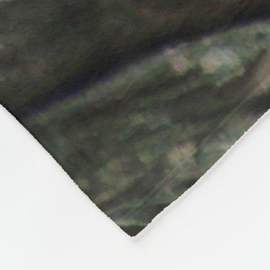 Lion 036 fleecedecke (Ecke)