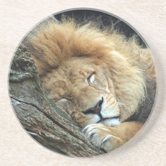 Lion 036 getränkeuntersetzer (Vorne)