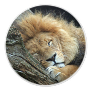 Lion 036 keramikknauf