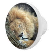 Lion 036 keramikknauf (Rechts)