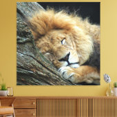 Lion 036 leinwanddruck (Insitu (Wohnzimmer))