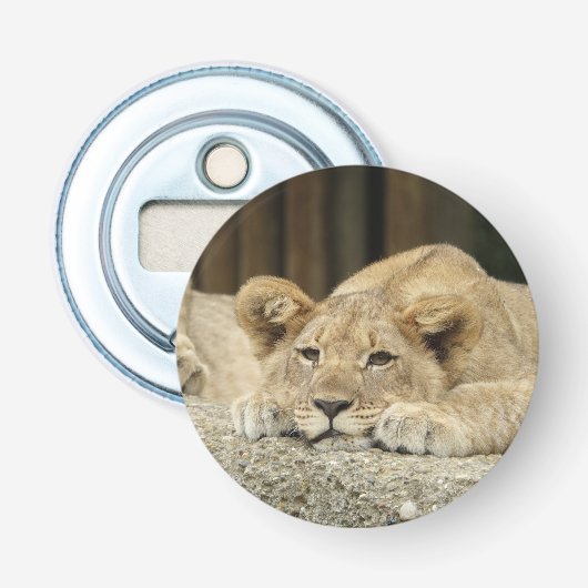 Lion 040 flaschenöffner (Vorderseite)